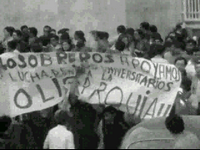 251